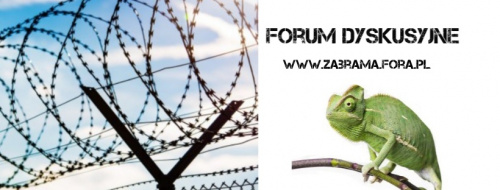 Forum www.zabrama.fora.pl Strona Gwna