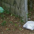 "Klejnoty" pewnego Parku Narodowego