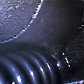 55kkm