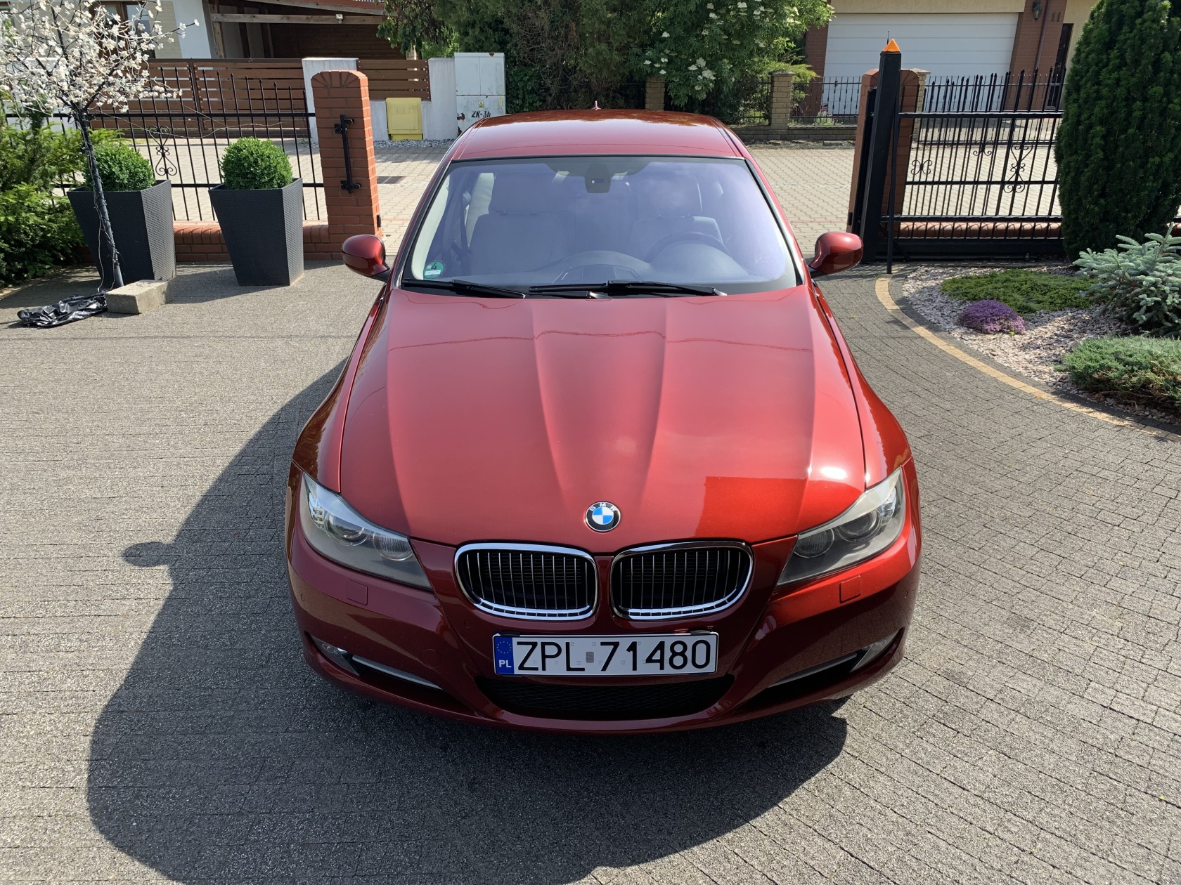 8tl bmw опция