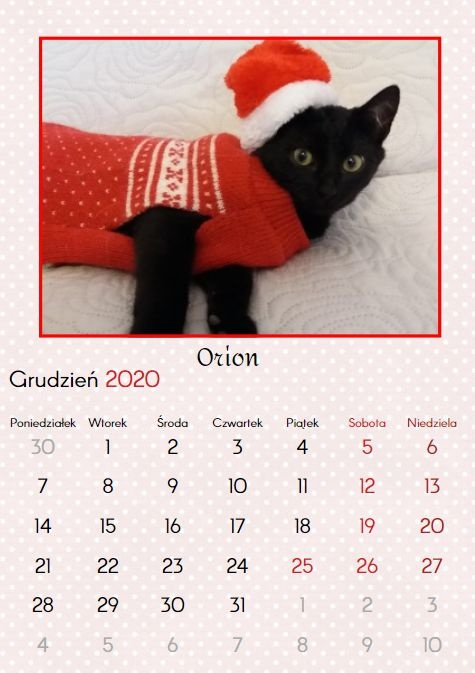 Obrazek