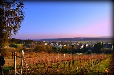 #winnicadolinasanu, #sanok, #winnica, #podkarpackie, #Podkarpacie, #winnicawSanoku, #podkarpacki szlak winnic, #winnicanaPodkarpaciu, #polskie wino, #wino z Podkarpacia, #WinnicaDolinaSanu, #sanok, #winnica, #podparpacie