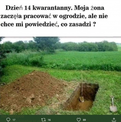 https://images89.fotosik.pl/342/2bb4b07f9683db07med.jpg