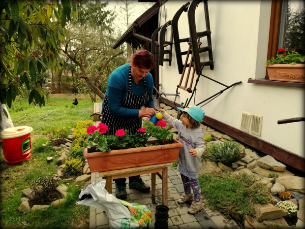 #www.winnica-dolinasanu.pl, #winnicadolinasanu, #sanok, #winnica, #podparpackie, #podkarpacie #WinnicaDolinaSanu #sanok #winnica #podparpackie #podkarpacie, #wino