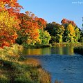 kaz Kanada Ontario - Jesień