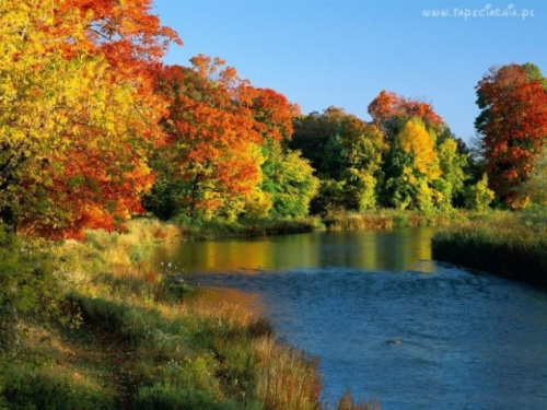 kaz Kanada Ontario - Jesień
