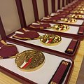 Złoty Medal Zasługi PKS Mazury Policyjny Klub Sportowy Mazury
