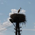 28.07.2021 Górki Duże, ul Polska Wola 19, gmina Tuszyn