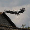 28.07.2021 Górki Duże, ul Polska Wola 19, gmina Tuszyn