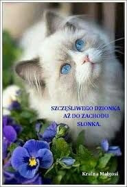 Obrazek