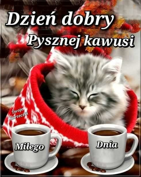 Obrazek