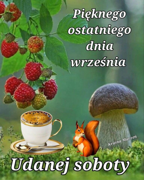 Obrazek