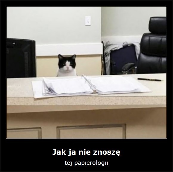 Obrazek Obrazek