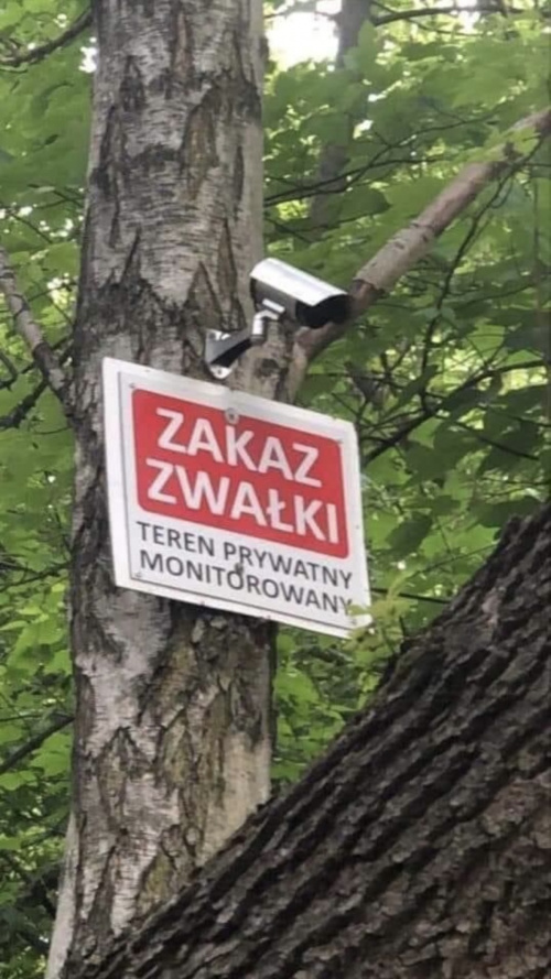Obrazek